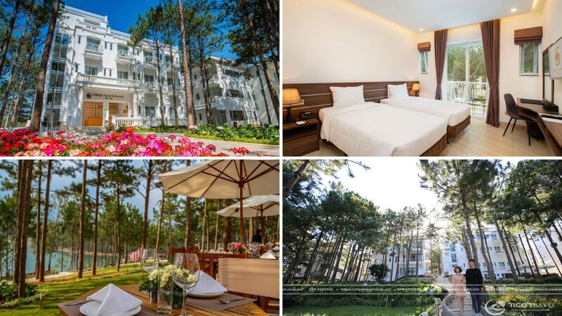 Top 20 Resort Đà Lạt giá rẻ đẹp gần Hồ Tuyền Lâm view rừng thông nổi tiếng