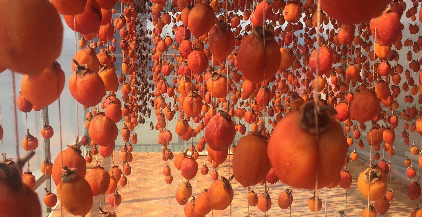 Hồng treo gió Đà Lạt - Món quà đặc biệt từ "thành phố ngàn hoa"