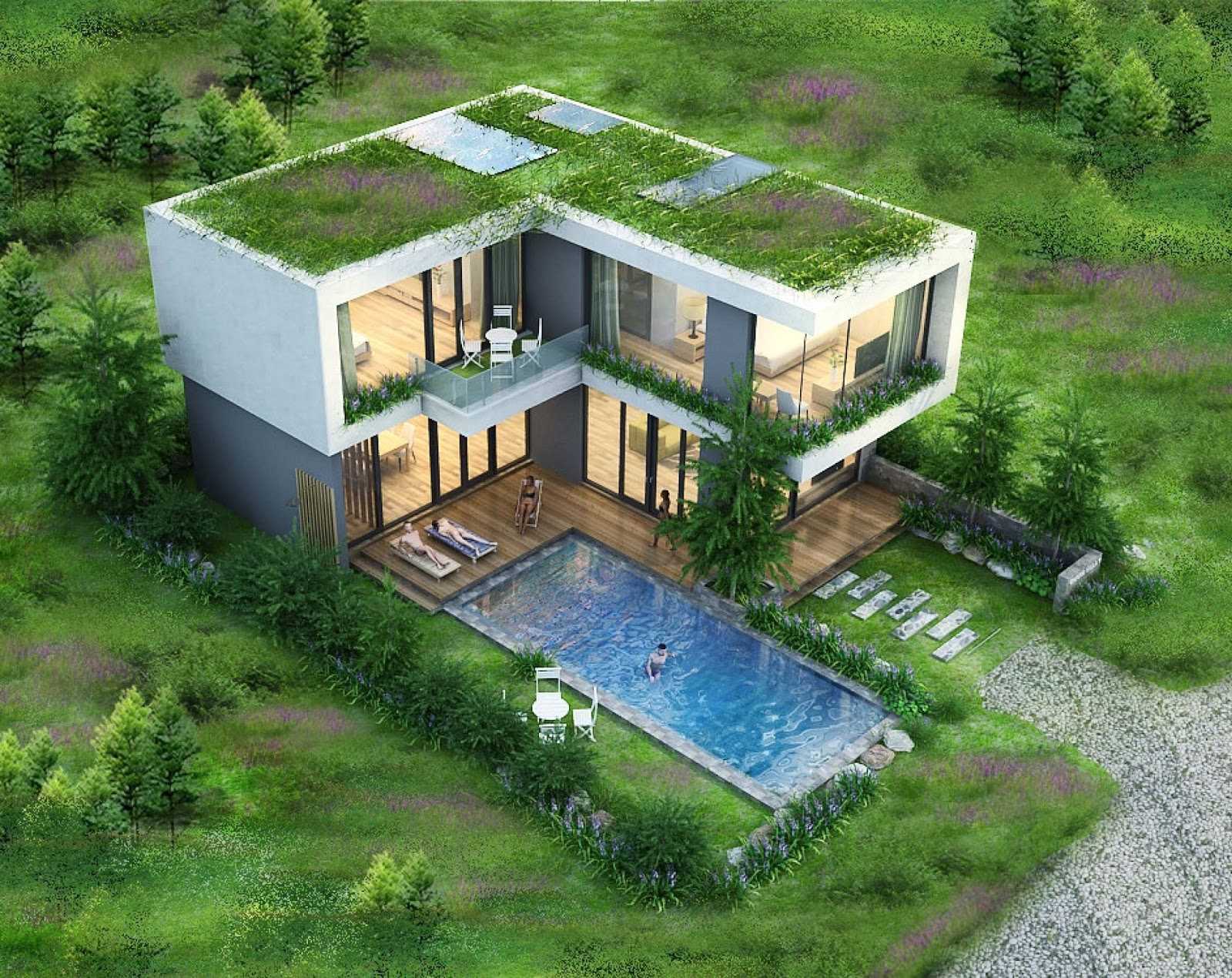 flamingo đại lải