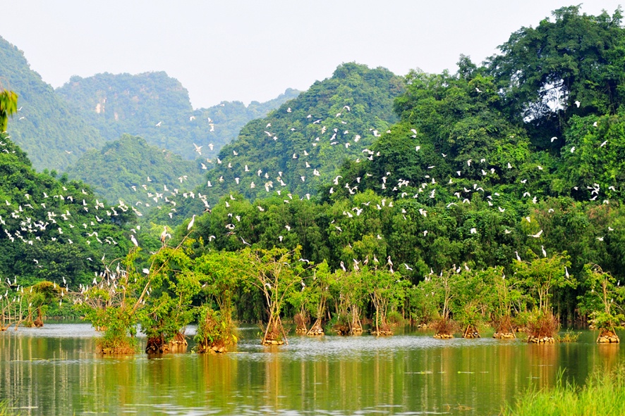Khu Nghỉ Dưỡng Aravinda Resort - Ninh Bình