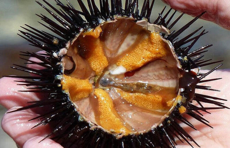 Minh Chau Resort - Điểm nhấn nơi đảo Quan Lạn tĩnh lặng