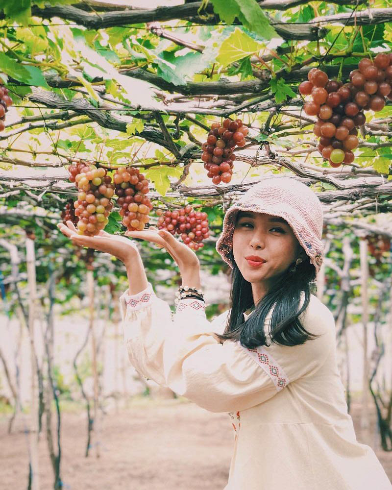 Aniise Villa Resort - Nơi dừng chân lý tưởng tại Ninh Thuận