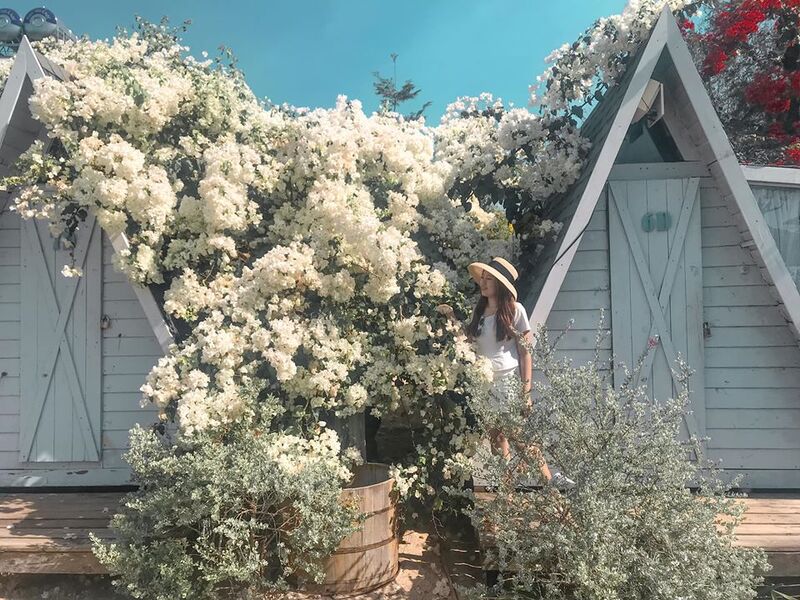 Coco Beach Lagi - Trạm dừng chân hoàn hảo