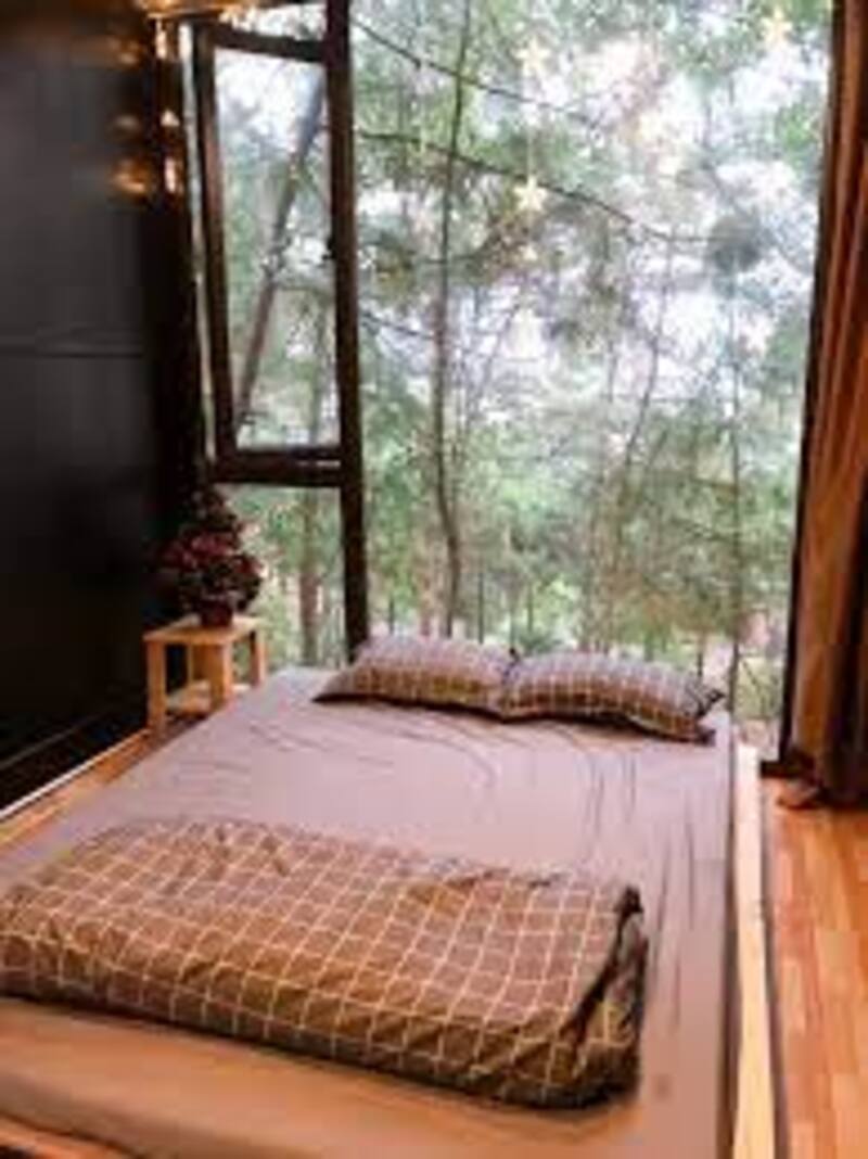 Ceeland Homestay Sóc Sơn - Điểm nghỉ dưỡng lý tưởng gần Hà Nội