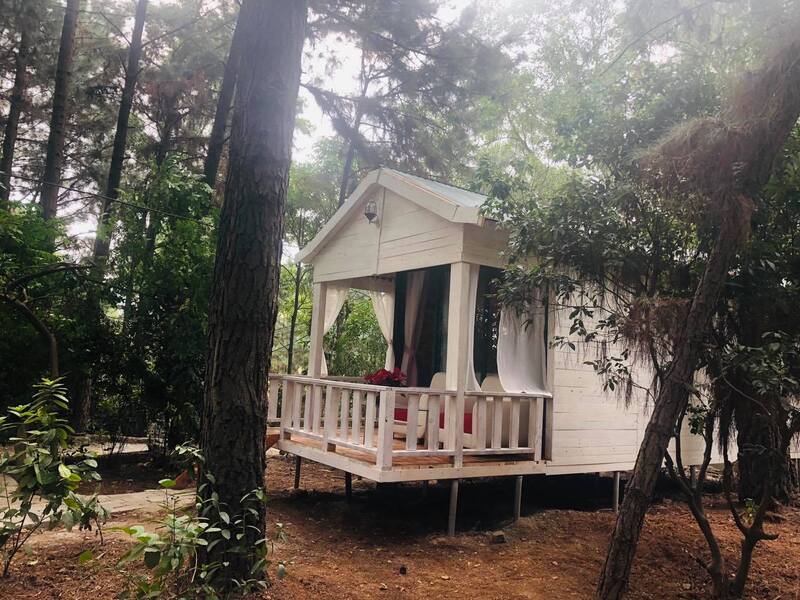 Happy White House Sóc Sơn - Chốn yên bình giữa làng quê