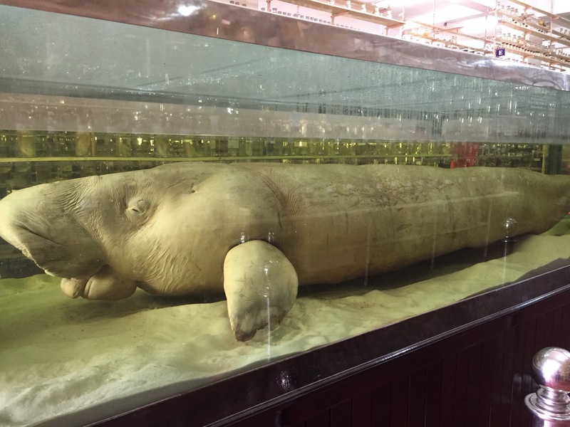 Khách Sạn White Sand Cam Ranh - Thả mình giữa cảnh biển thơ mộng