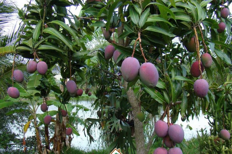 Novela Muine Resort & Spa - Nghỉ dưỡng tràn ngập "vitamin-sea"