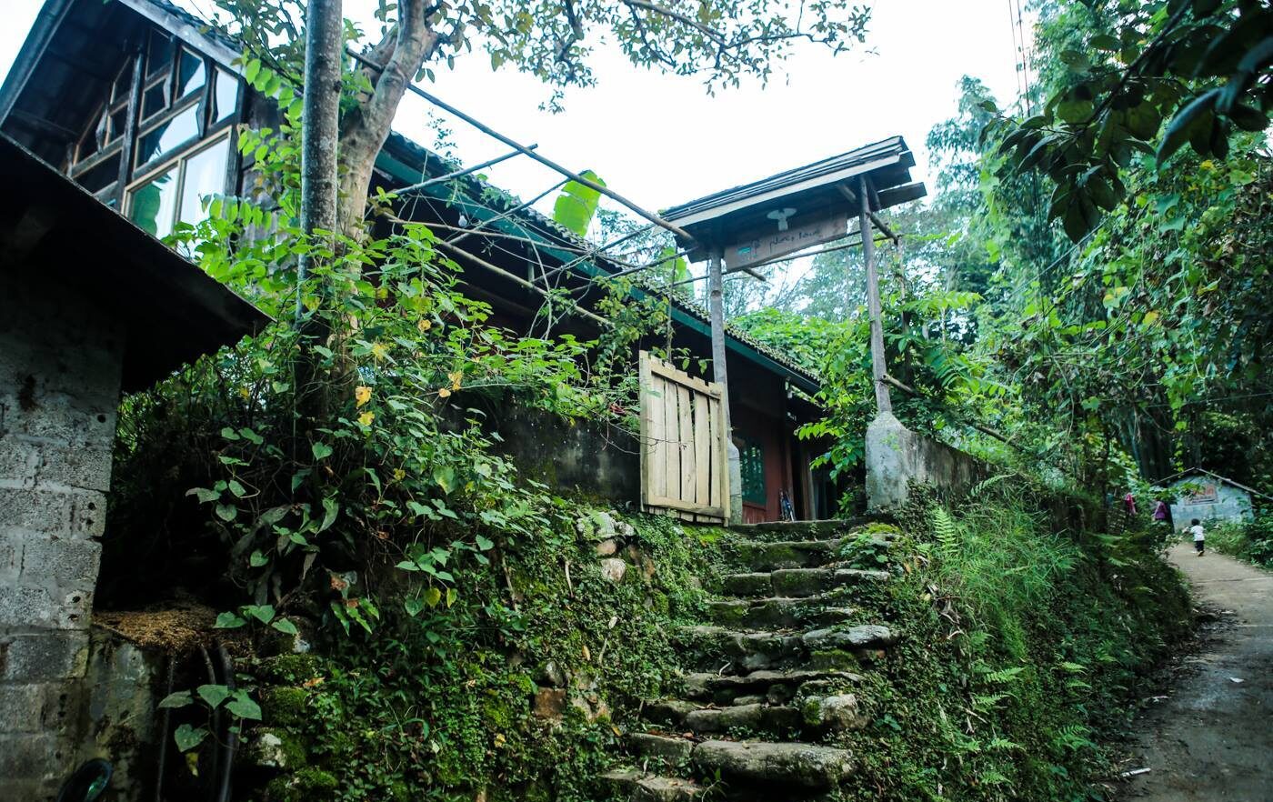 Phơri's Homestay Sapa