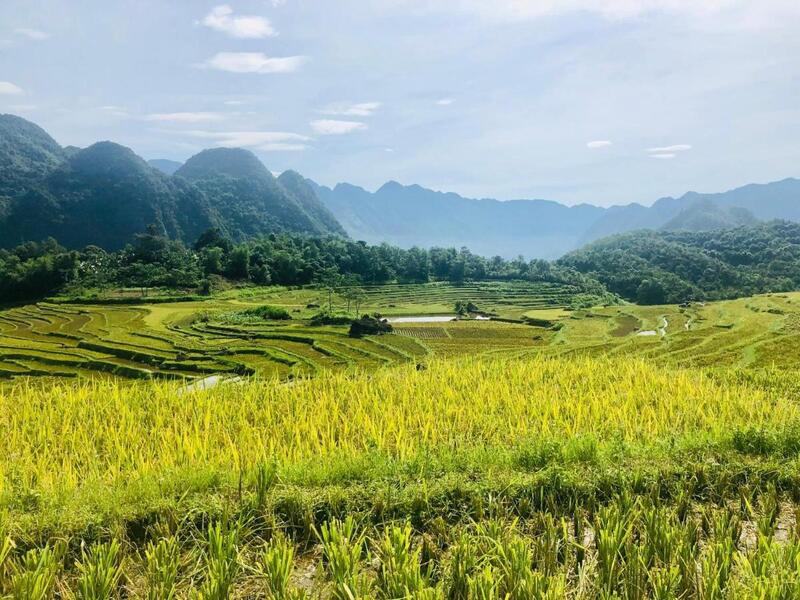 Pu Luong Riverside Lodge – Hòa mình vào đất trời xứ Thanh