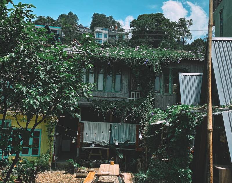 Tam Đảo homestay Nhà của tuổi Thanh xuân - Góc trời lưu giữ tuổi trẻ