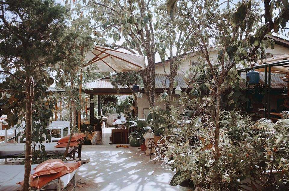 the shelter homestay