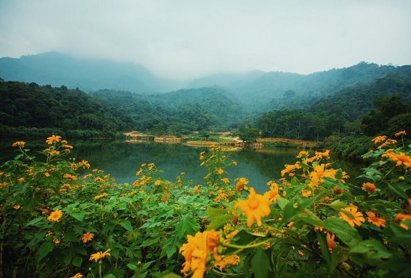 Thiên Sơn Suối Ngà Resort