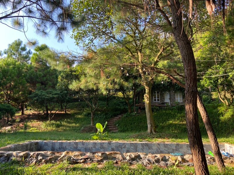 Aloha Valley - Homestay bước ra từ truyện cổ tích