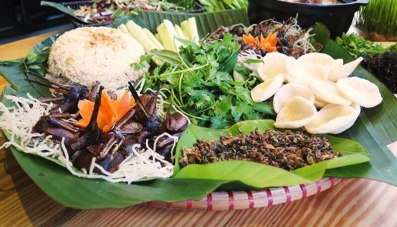 Cá Homestay - Homestay xinh xắn giữa lòng Hà Nội