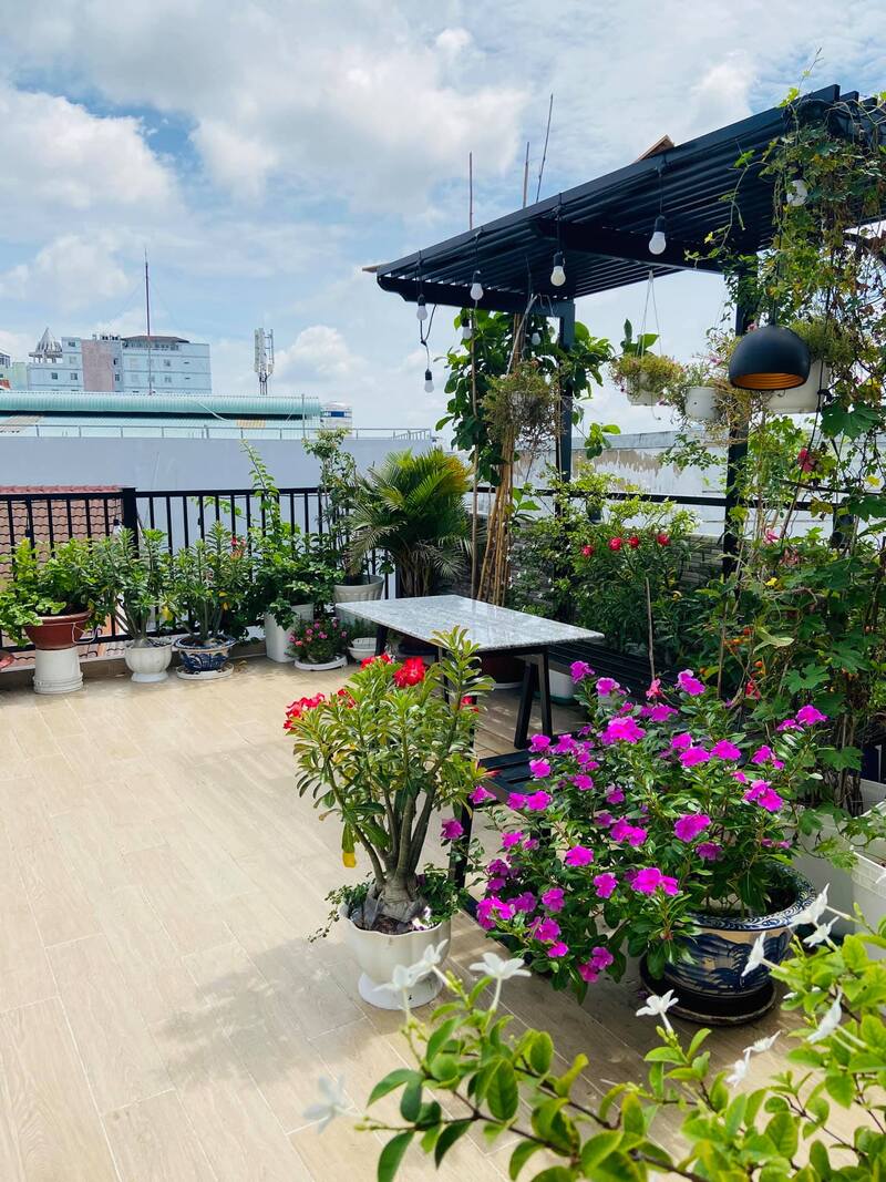 Gạo Homestay Cần Thơ - Không gian năng động giữa lòng thành phố