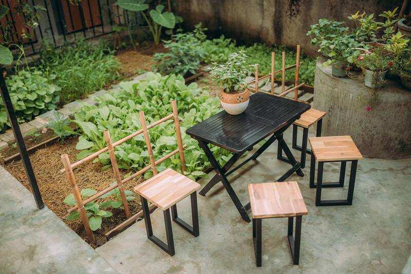 Lạc Thôn Homestay - Chốn nghỉ dưỡng thơ giữa thiên nhiên đời thực