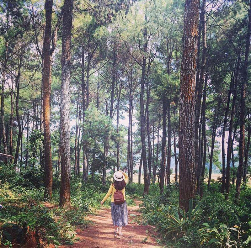 Phố Núi Tình Yêu Mộc Châu - Chốn bình yên ẩn giữa rừng hoa