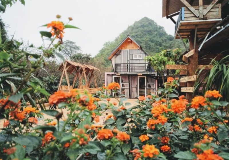 Phố Núi Tình Yêu Mộc Châu - Chốn bình yên ẩn giữa rừng hoa