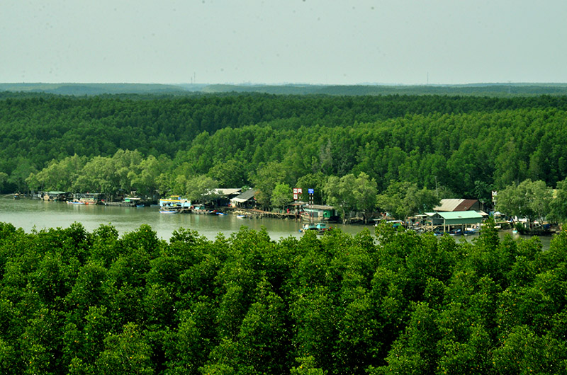 Phương Nam Pearl Resort - Hòn Ngọc lộng lẫy giữa vùng đất Cần Giờ