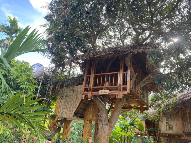 Pù Luông Ecolodge - Không gian nghỉ dưỡng xanh giữa lòng di sản