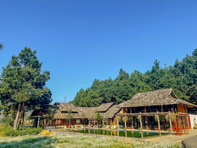 The Nordic Village Mộc Châu - Vùng trời Bắc Âu giữa lòng Mộc Châu