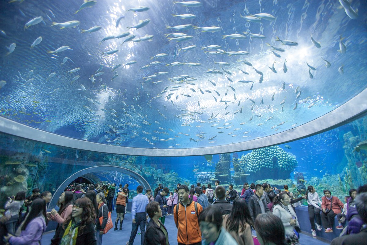 Top 10 địa điểm du lịch Nha Trang nổi tiếng bậc nhất
