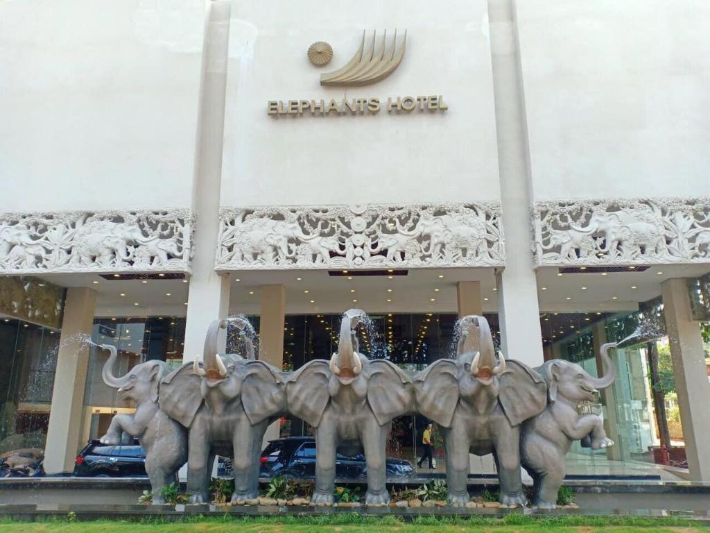 Elephants Hotel Buôn Ma Thuột: Nét đẹp Tây Nguyên tại xứ Bazan