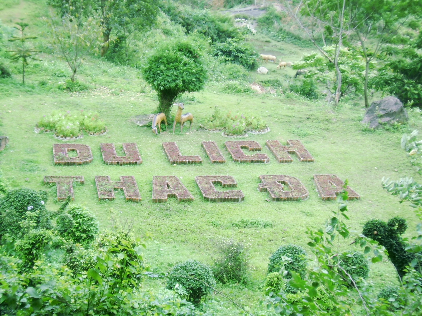 Khách sạn Sakura Hòa Bình - Điểm dừng chân lý tưởng dành cho bạn