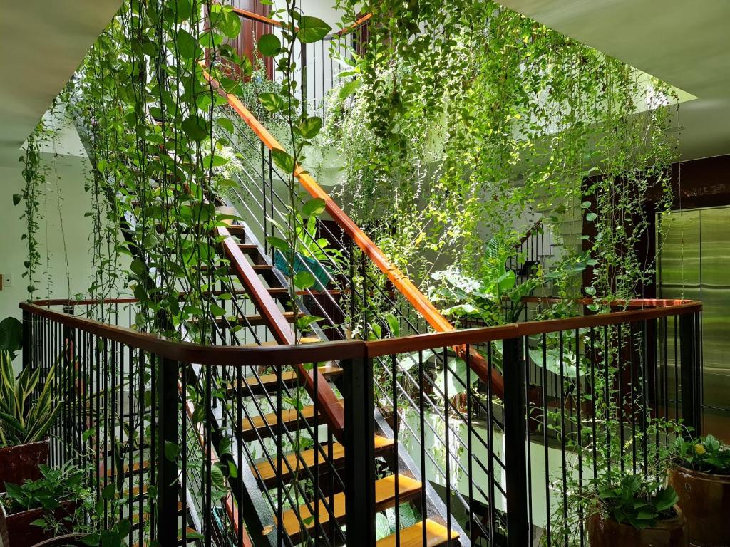 Nicobar Con Dao Hotel - Review chi tiết và bảng giá