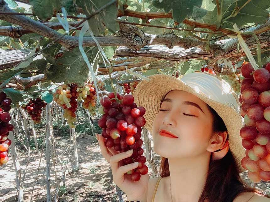 Nha Trang có gì chơi? Top 20 địa điểm tham quan, ăn uống, vui chơi nổi tiếng