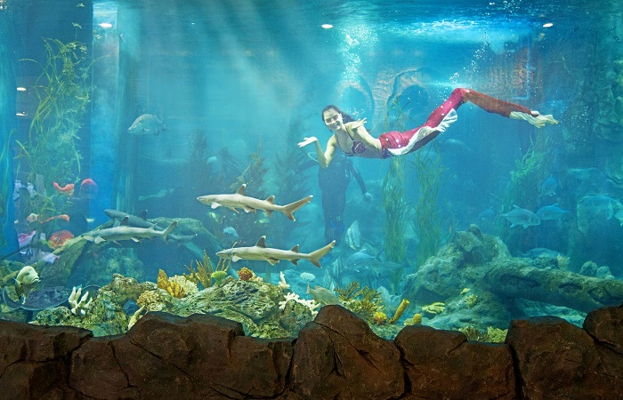 thủy cung phú quốc