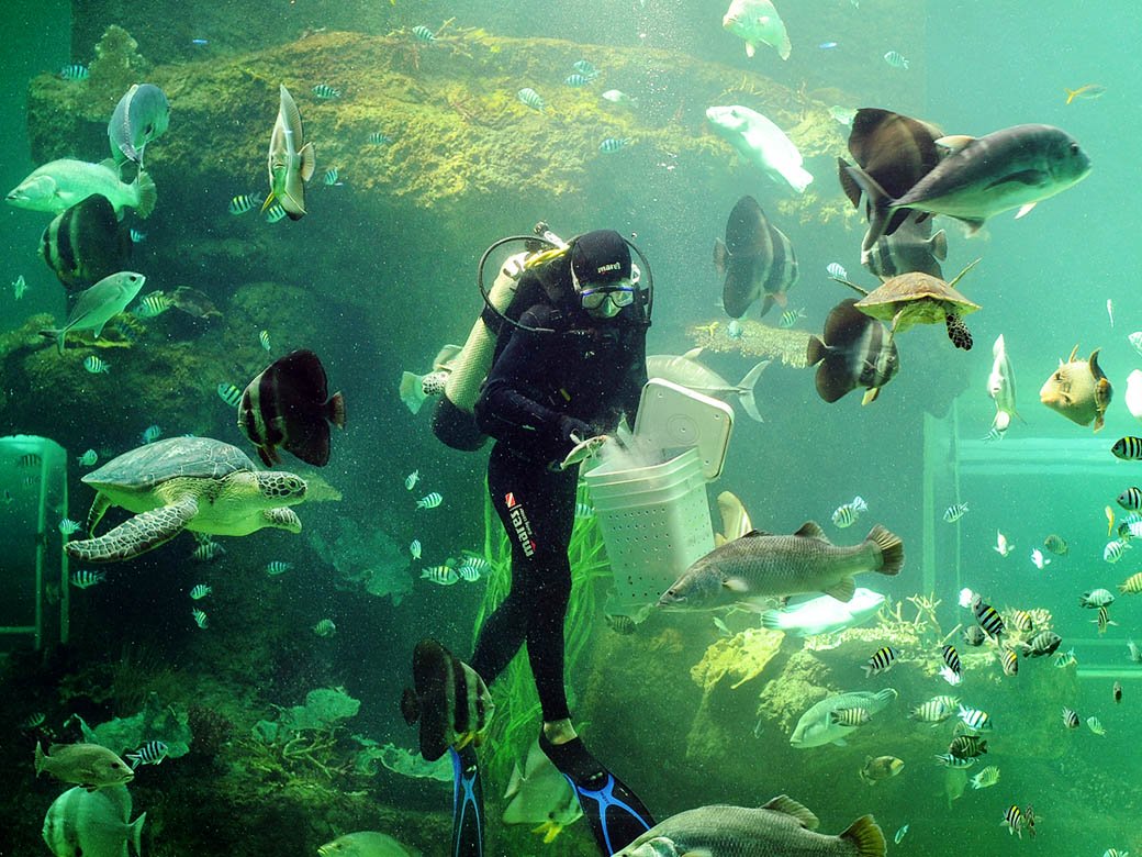 thủy cung phú quốc