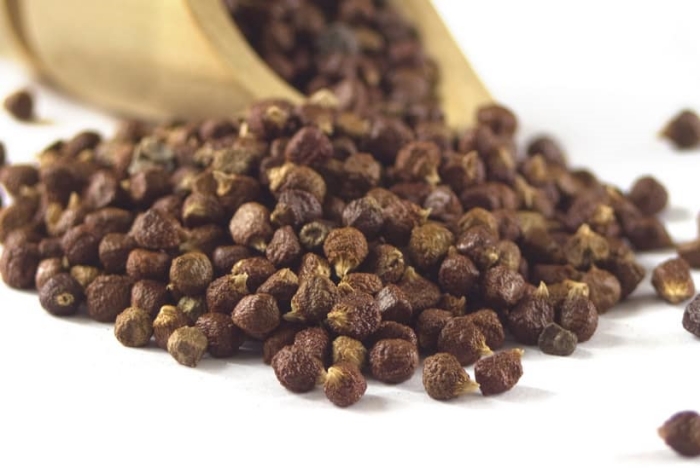 vườn tiêu Phú Quốc