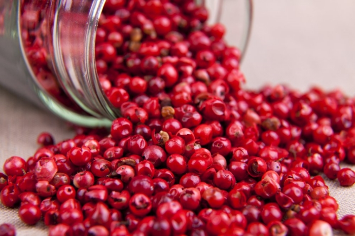 vườn tiêu Phú Quốc