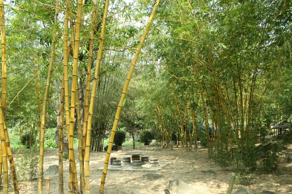 Top 10 bảo tàng Đà Nẵng nổi tiếng, không nên bỏ qua