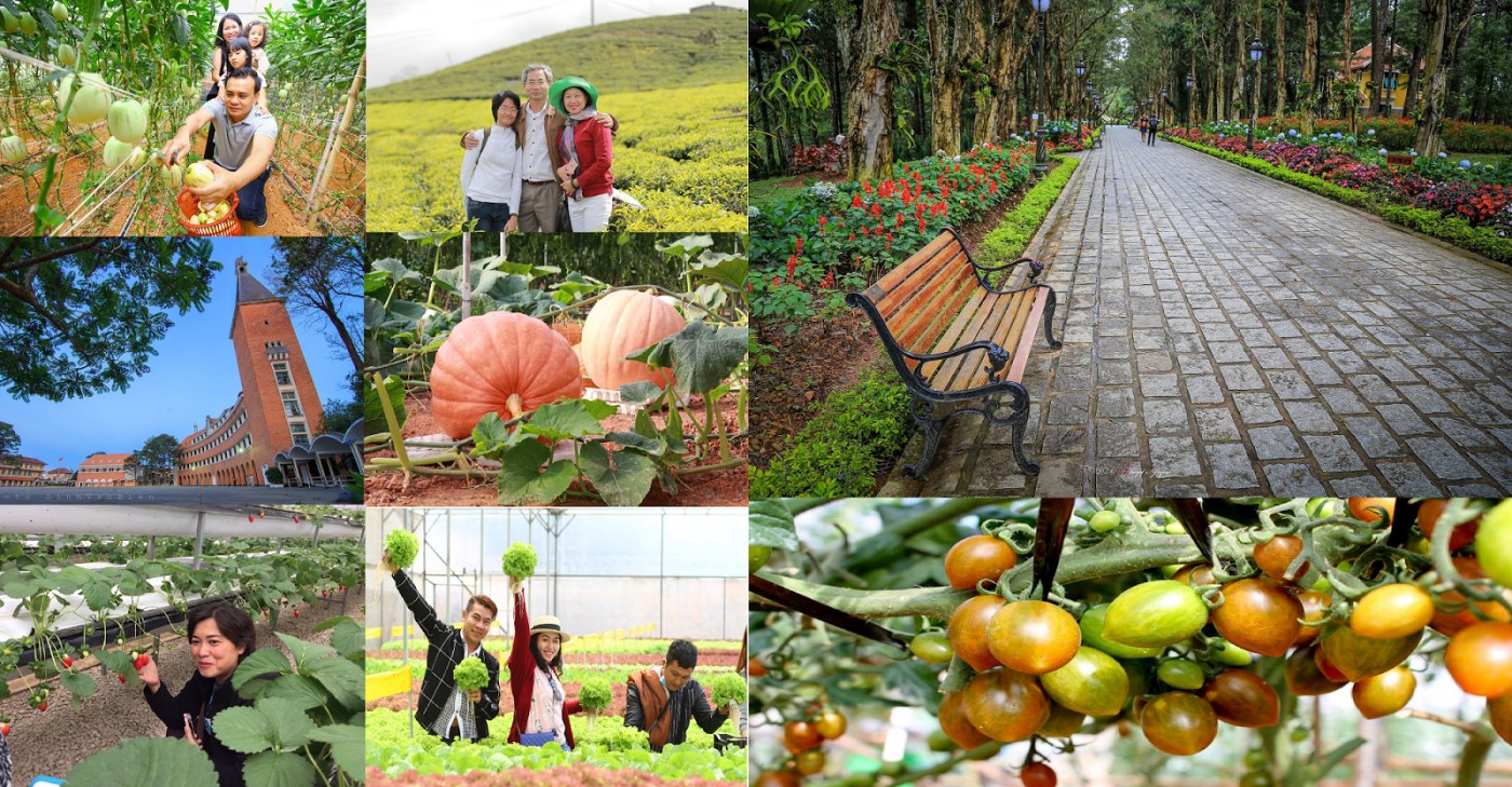 Top các quán buffet rau Đà Lạt nhất định phải ghé