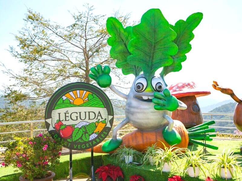 Top các quán buffet rau Đà Lạt nhất định phải ghé