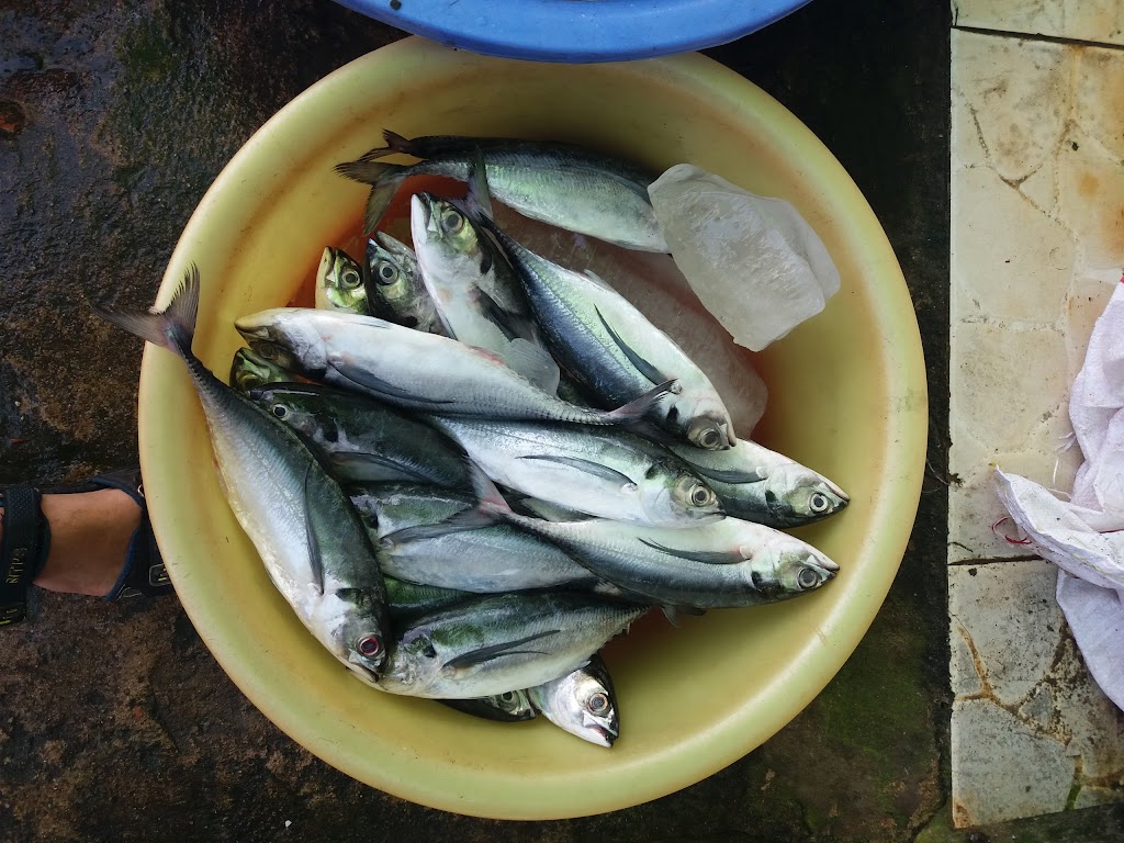 chợ hải sản Hồ Tràm 