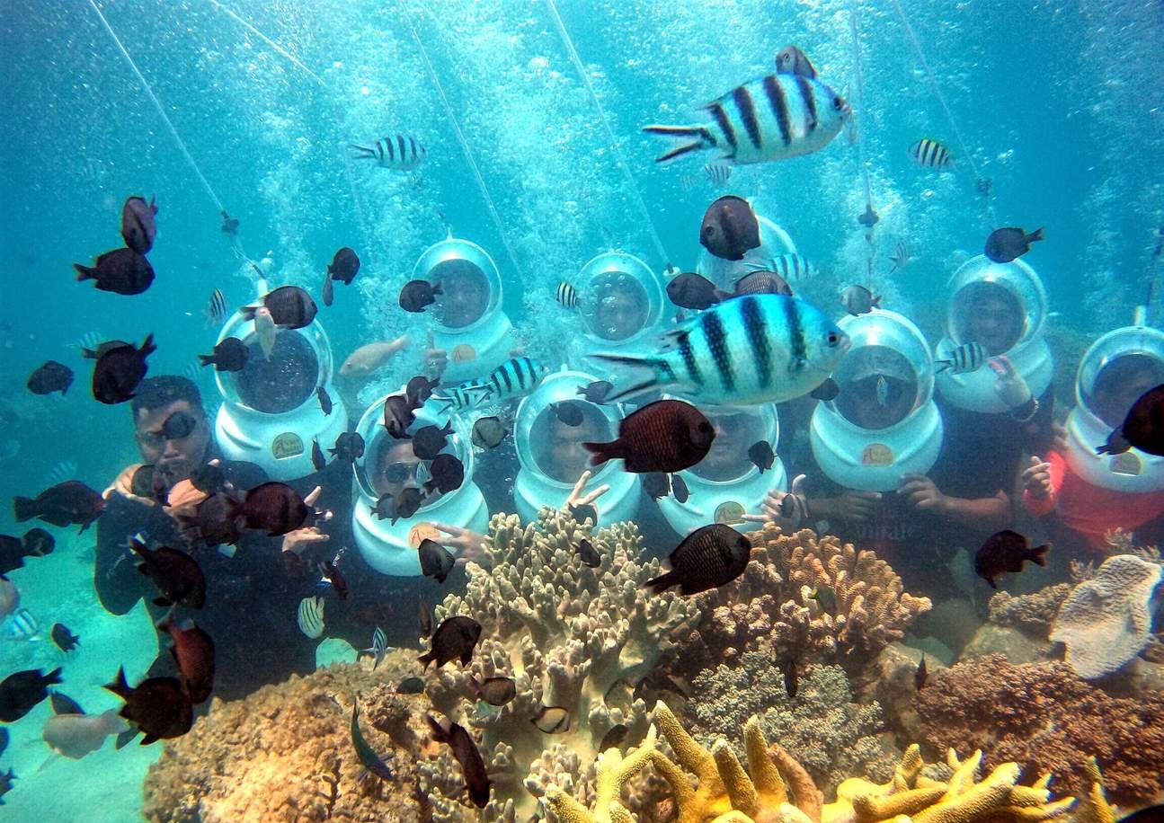 Đi bộ dưới biển Phú Quốc: khám phá đại dương huyền bí