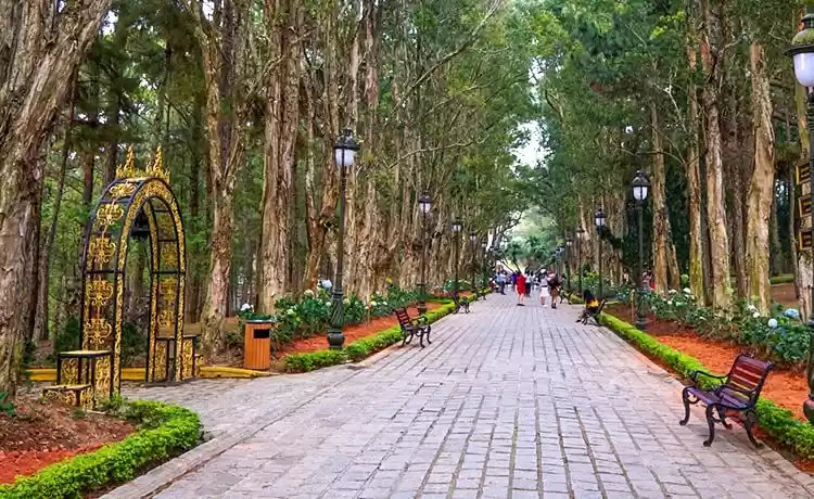 Dinh 1 Đà Lạt: điểm check - in nổi tiếng của giới trẻ