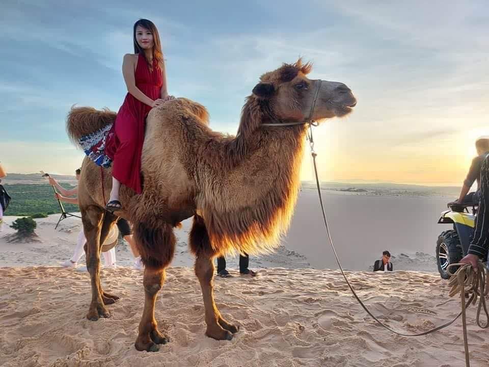 Đồi cát trắng Mũi Né - Điểm sống ảo và giải trí siêu "hot"