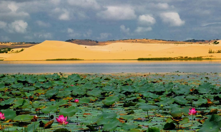 Đồi cát trắng Mũi Né - Điểm sống ảo và giải trí siêu "hot"