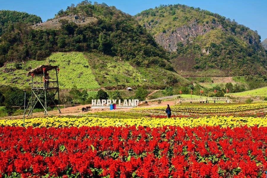 Kinh nghiệm du lịch Mộc Châu chi tiết nhất 2022