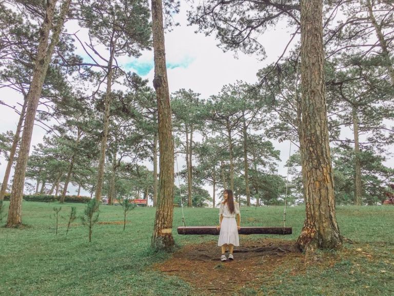 Khám phá Hồ Than Thở: nét thơ mộng tại xứ ngàn hoa Đà Lạt