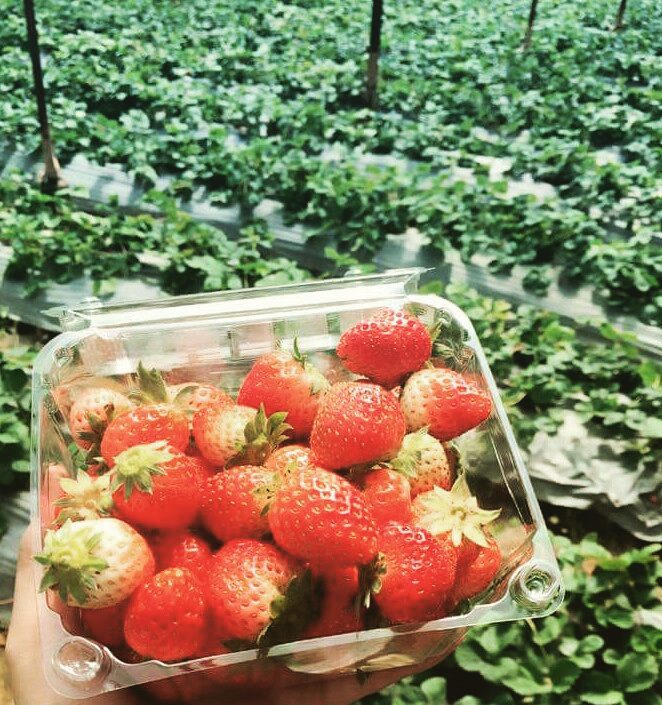 Khám phá Hồ Than Thở: nét thơ mộng tại xứ ngàn hoa Đà Lạt