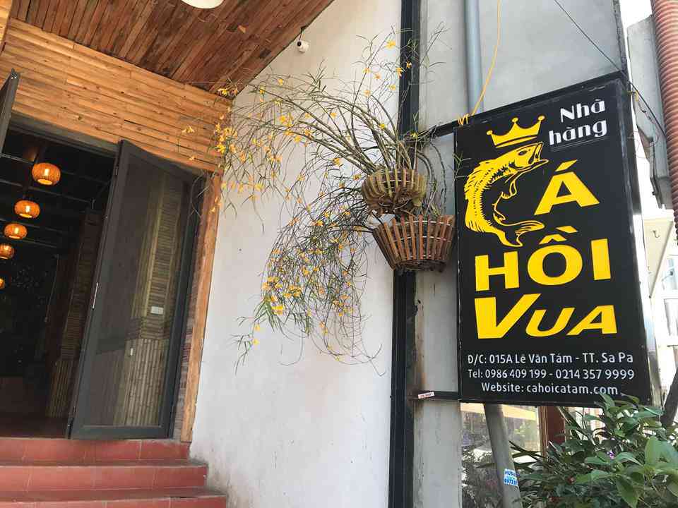 Lẩu cá hồi Sapa và địa chỉ quán ăn nổi tiếng