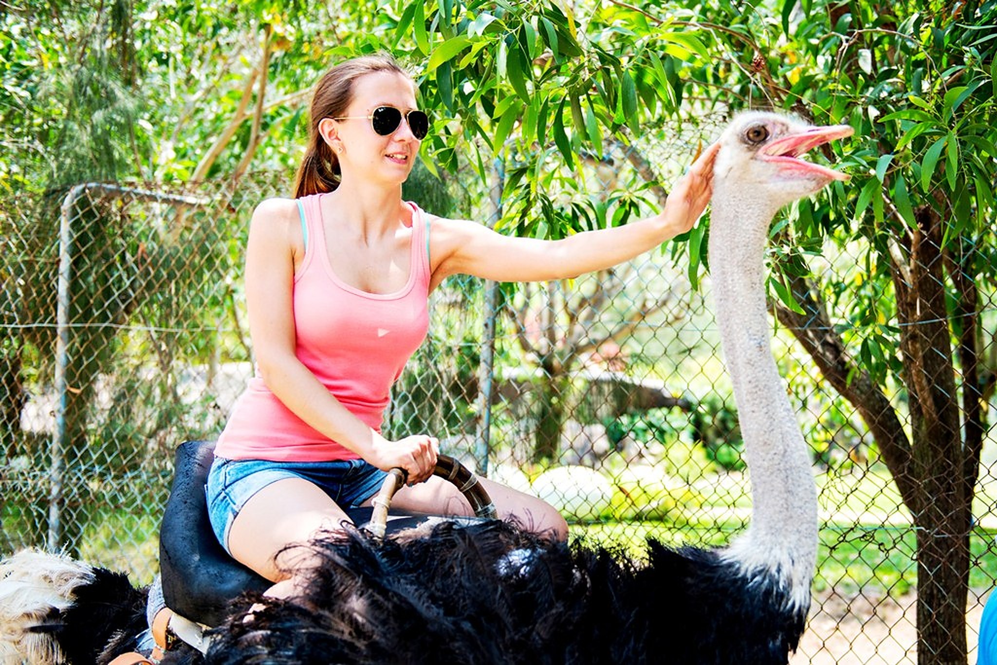 Suối Tiên Mũi Né