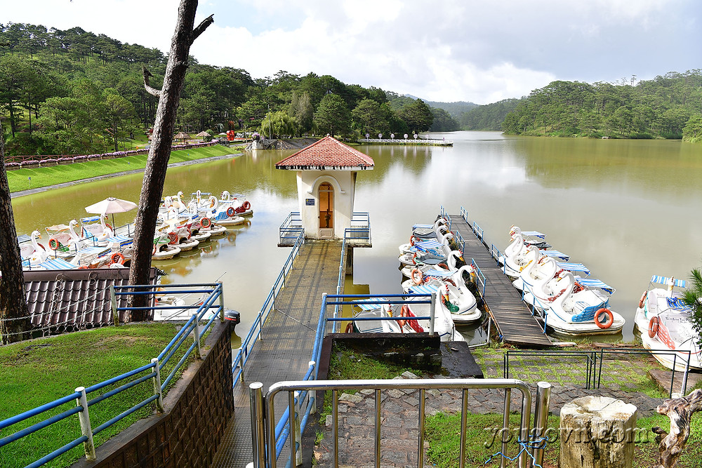 Thung lũng tình yêu Đà Lạt có gì mà khiến du khách "phát cuồng"?
