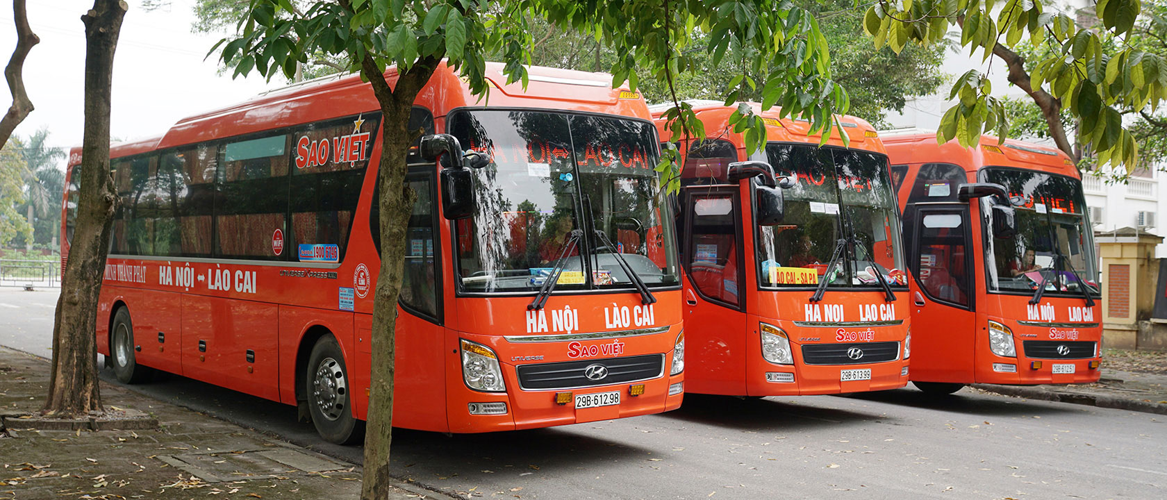 Top nhà xe đi Sapa từ Hà Nội giá rẻ, uy tín, chất lương cao