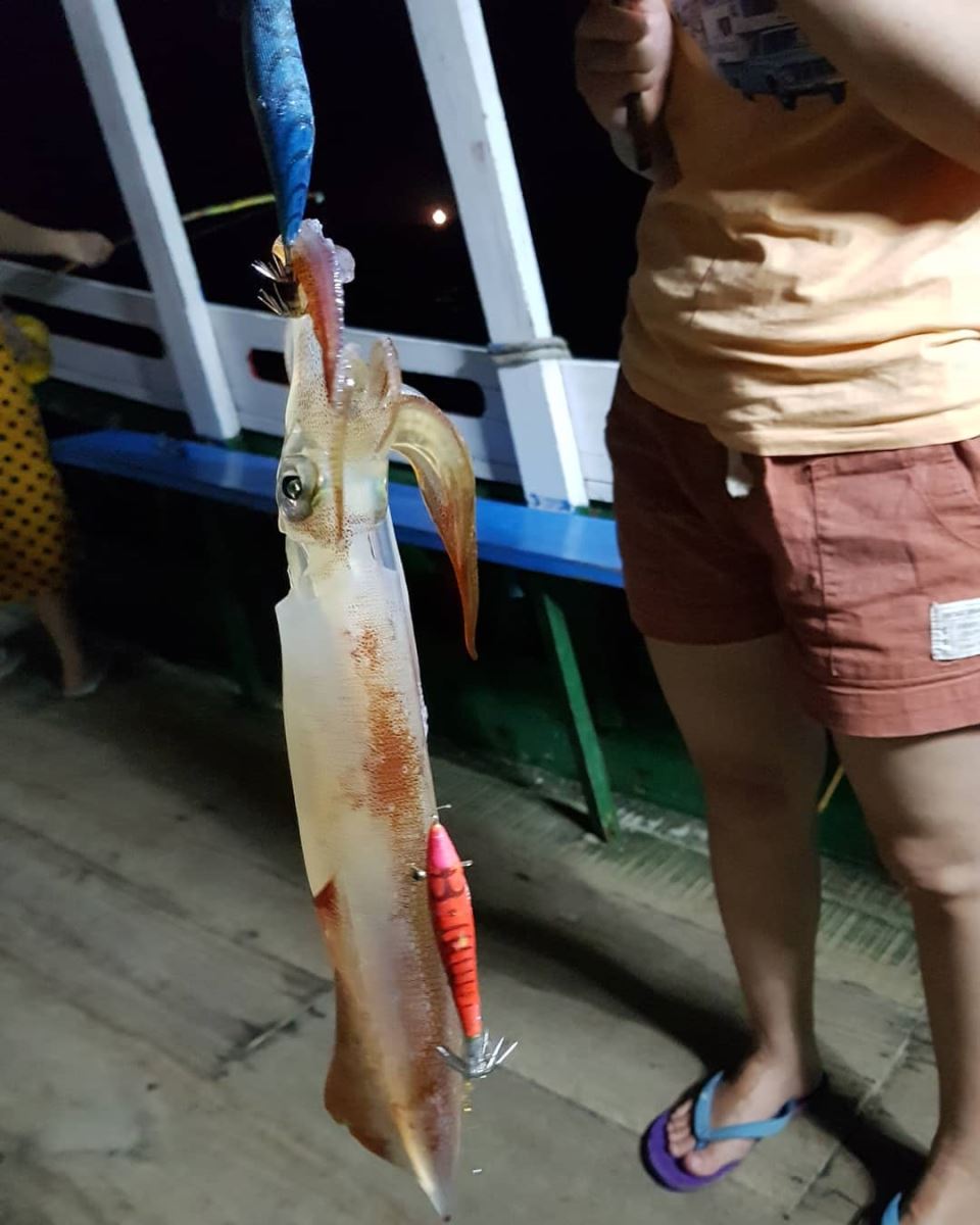 câu mực đêm Phú Quốc 